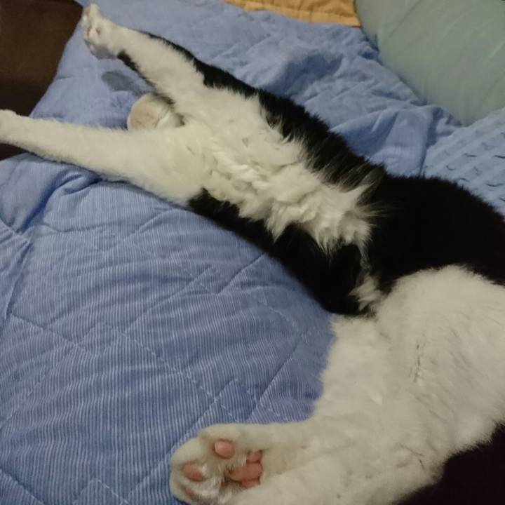 09756258 1e9d 4a11 be5c bc8e26d9eed8