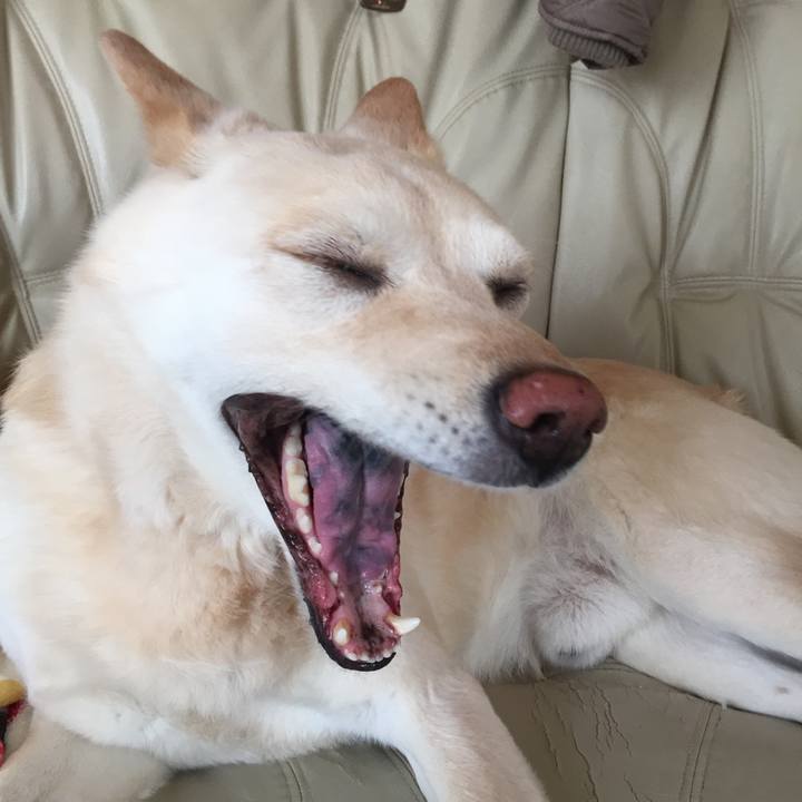 097572bc 1ac5 4a05 83ca f5d5b59334ab