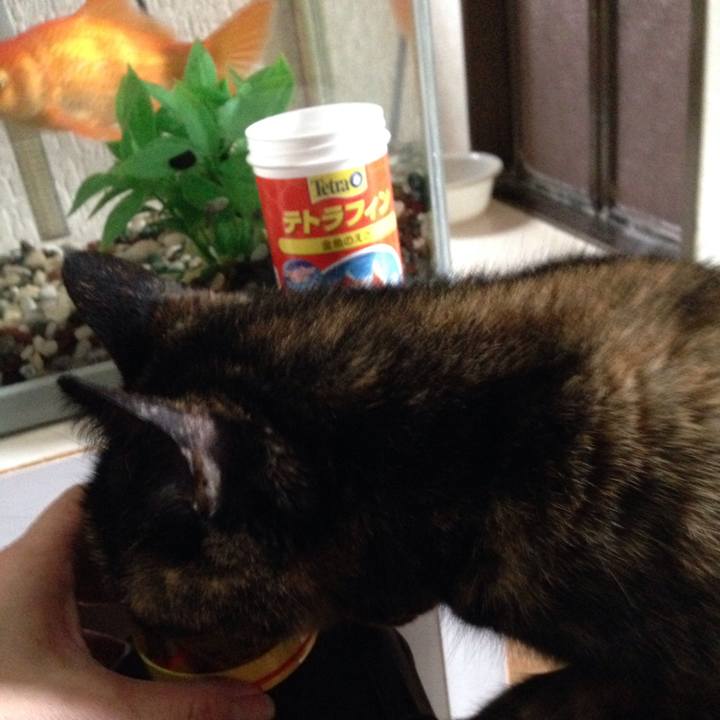 0976745f a4e8 4977 b2c1 37fc9d845af3