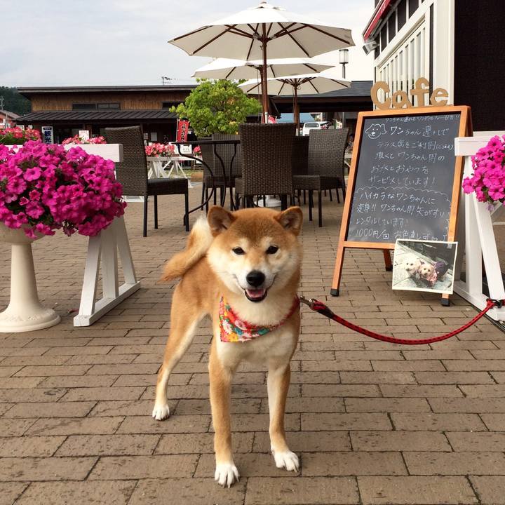 09768ebf a54d 430f ab71 e90d5ee9e84e