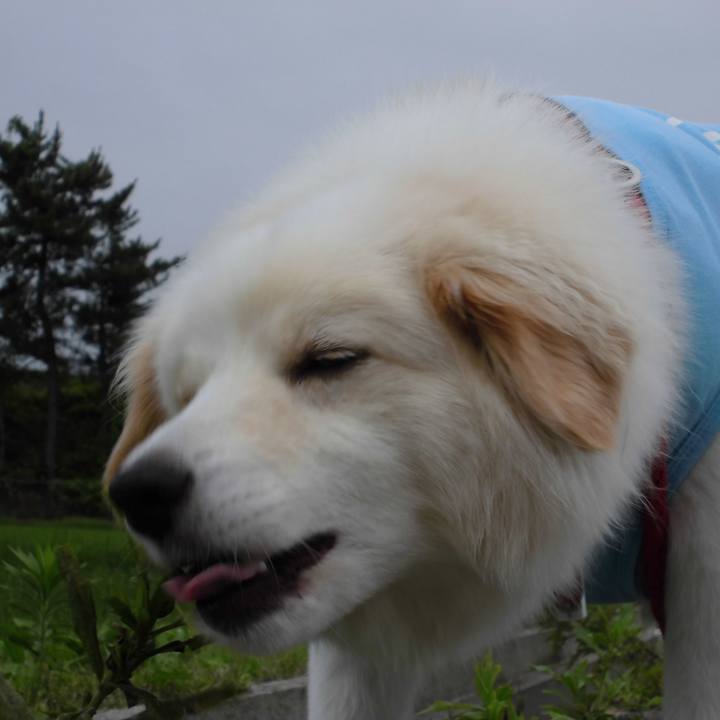 0976e4c8 42ec 4db9 bb52 7f3ec2b211d1