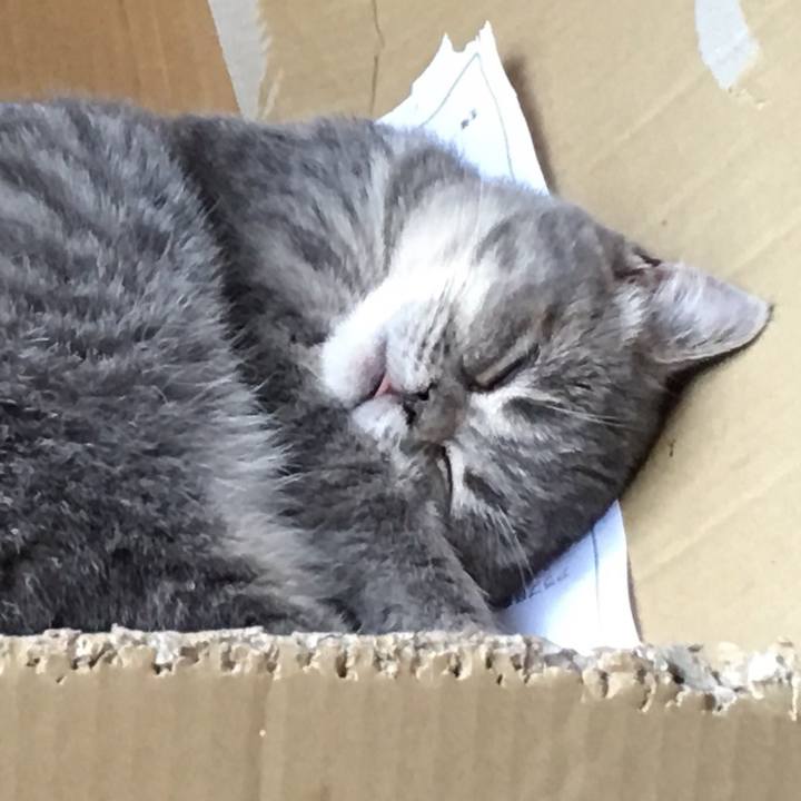 097851fa b00d 434c 9920 7537e10321fc