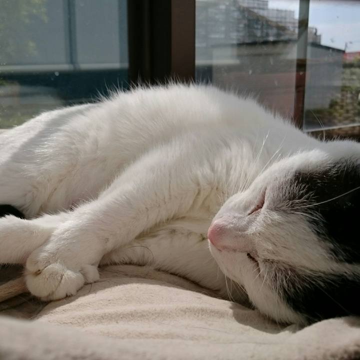 09785a3b b950 4344 b56d c6299760bc74