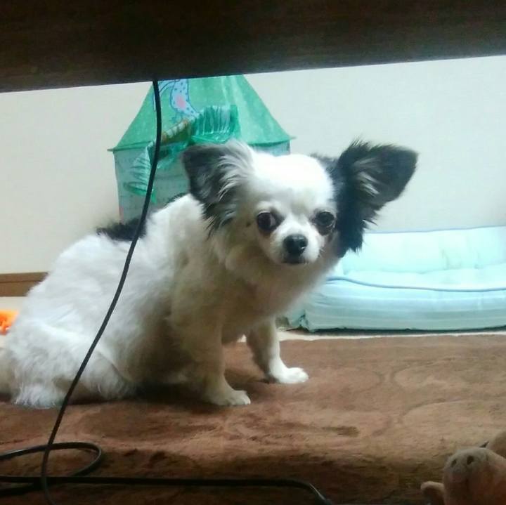 09788de4 bfb9 41c8 b48e 41cd728fe416