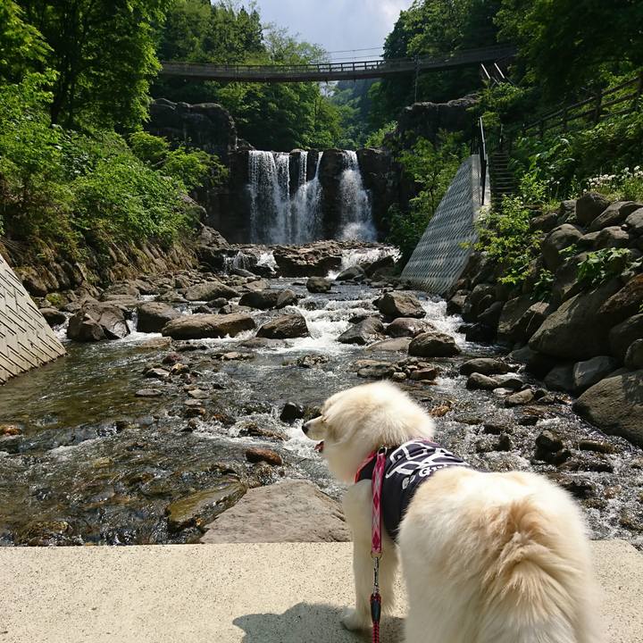 0978a9dc da30 4313 9d6d 8820051b5157