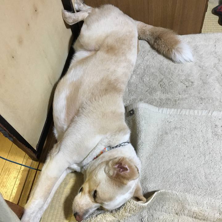 0978ad55 602a 4213 b84c 3b115a354476