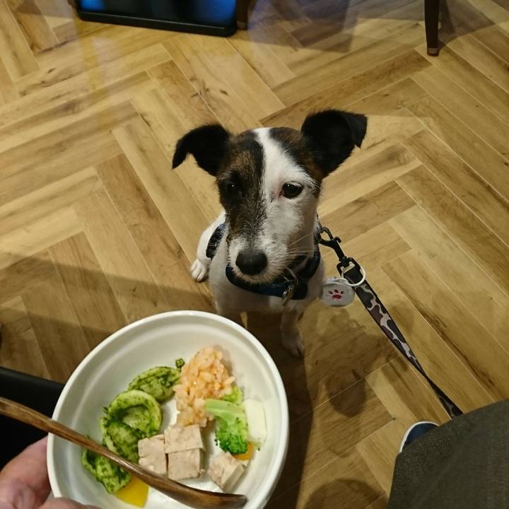 09795e88 ded0 4f6a b80d 888436a050be