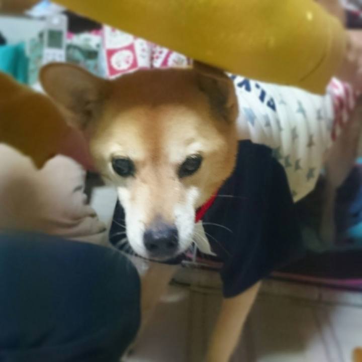 09797bbc 7f7c 485a 9f56 19c9f102dc07