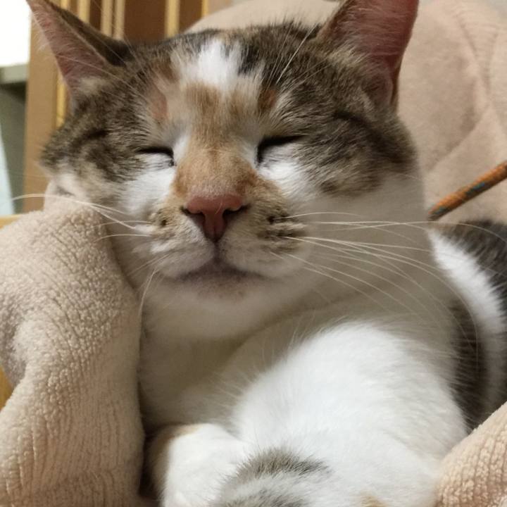 0979e962 66d1 4921 ae57 3ed70acfed9a