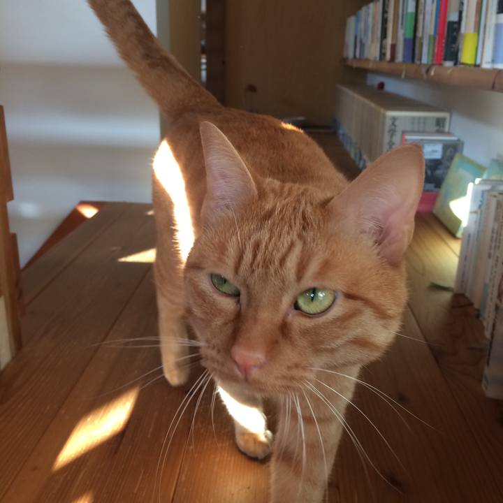 097a0768 9876 4c88 8881 cc566f29fb84