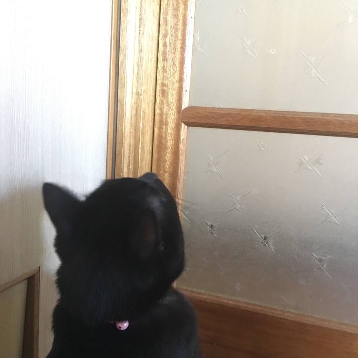 097a3dde 7d4d 477c a2c6 bde170e83528