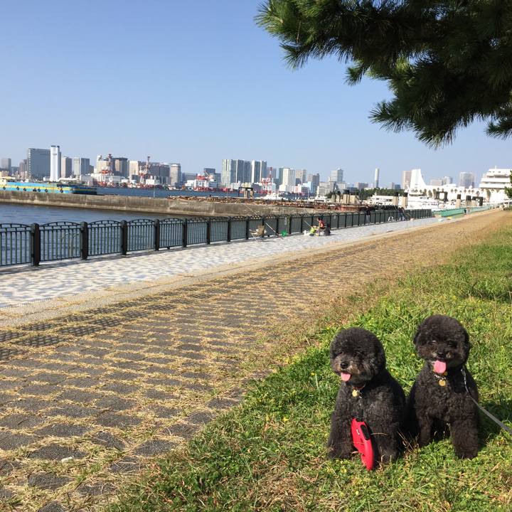 097ab8fc 5ea6 450d a4ed 908d93541c90