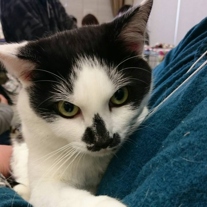 097af507 d9a4 402a 8825 41e89470f72f