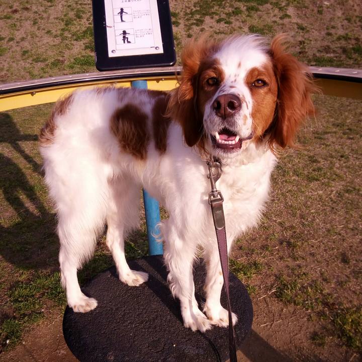 097b08e9 36c5 4a94 b912 ffaedb73f0ec