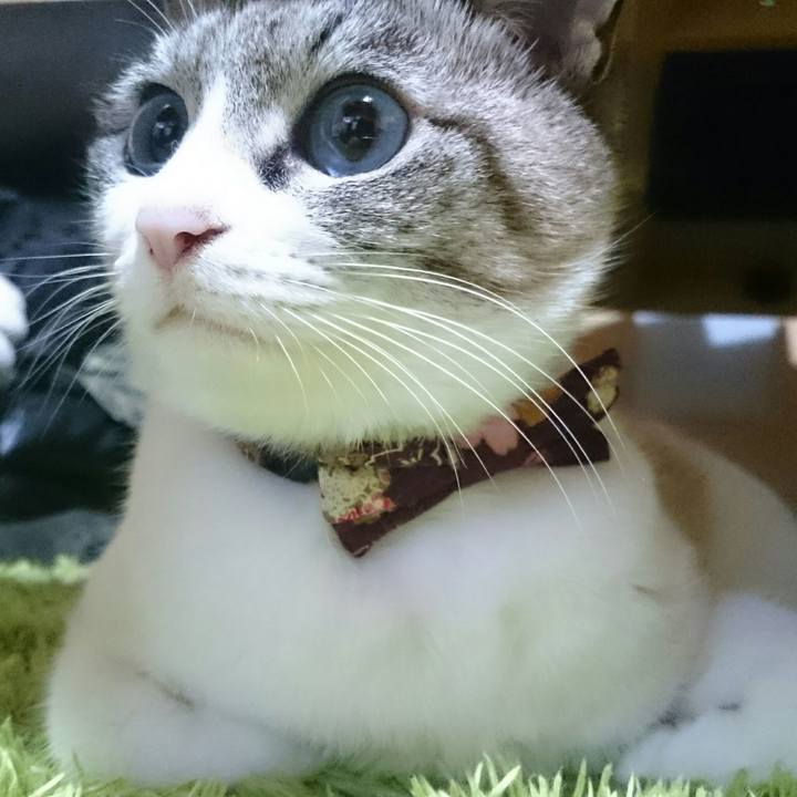 097b45b5 c744 4f17 b5f1 93f437a04c6e