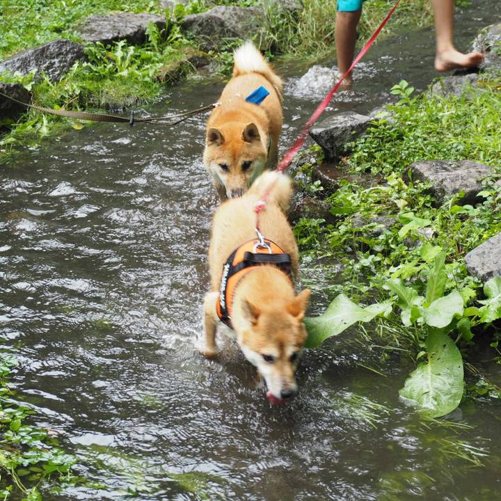 097b9c86 6bf4 4ac6 95c4 3fc4535d9cf0