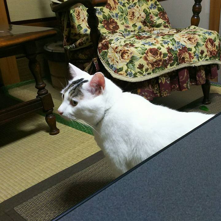 097bcdb0 4be4 4f66 9774 29a68246b513