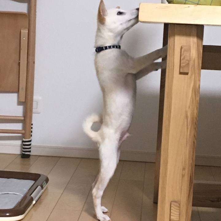 097be1b2 98ac 4397 9691 0948704dafdc