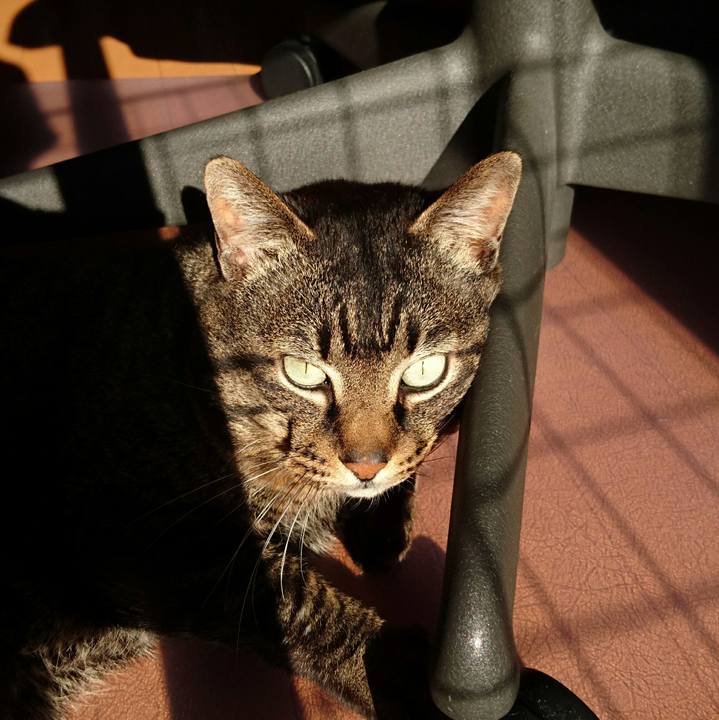 097c47bd 4c23 4008 8502 7a75668d386a