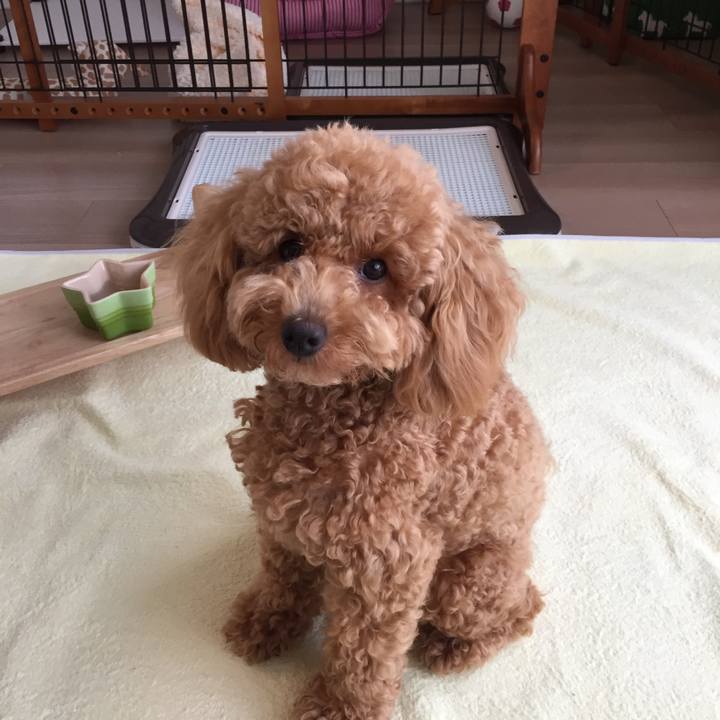 097ce569 f302 47b9 8bab c052804ff0bb