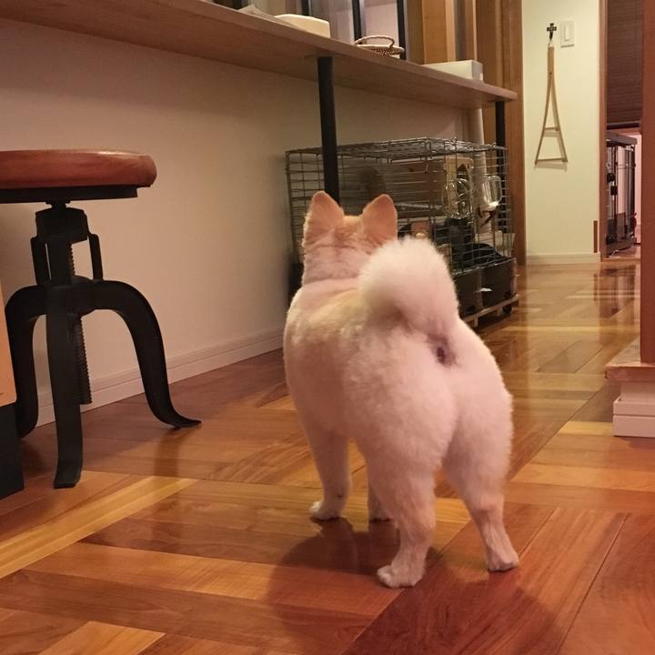 097d28ef f59f 4b80 a951 7b4dbf1b7e06