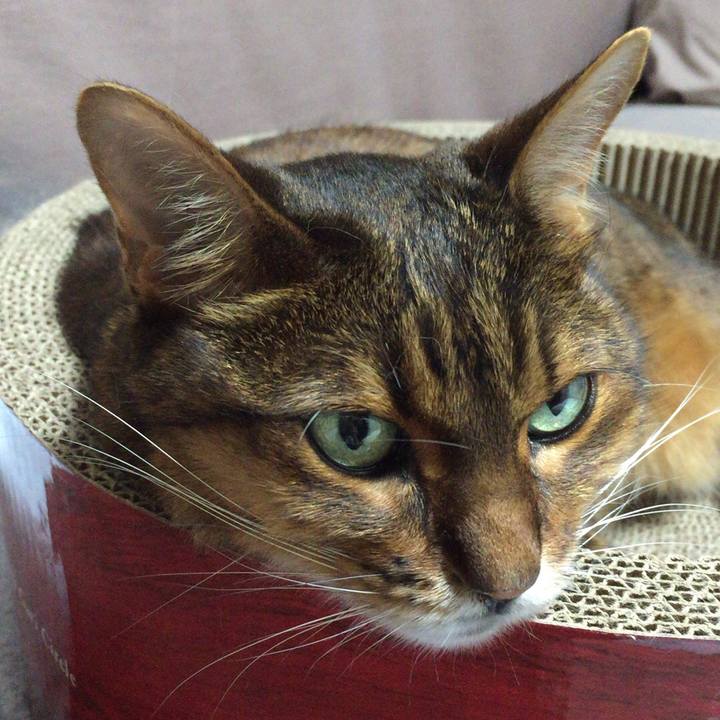 097d2fc0 2b0c 4ed9 8226 fe6012cffcbd