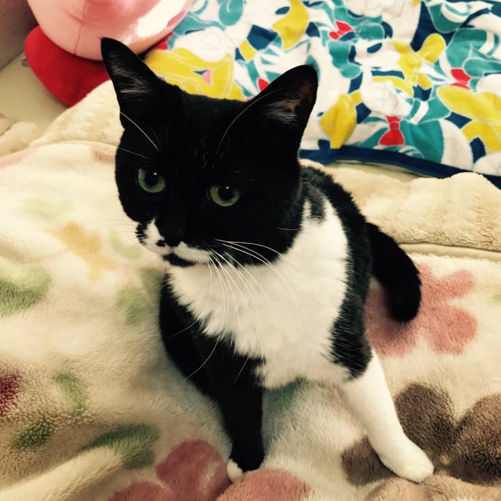 097d9f1d 777f 4b2a af40 faf71a95ed24