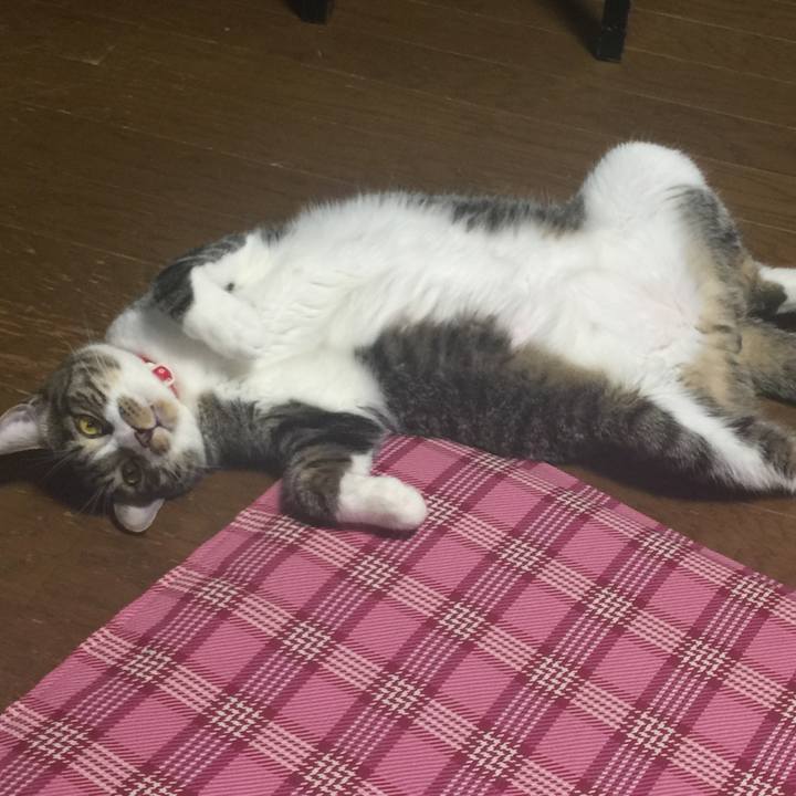 097db4ad f045 4d37 9894 00445a21c6b8