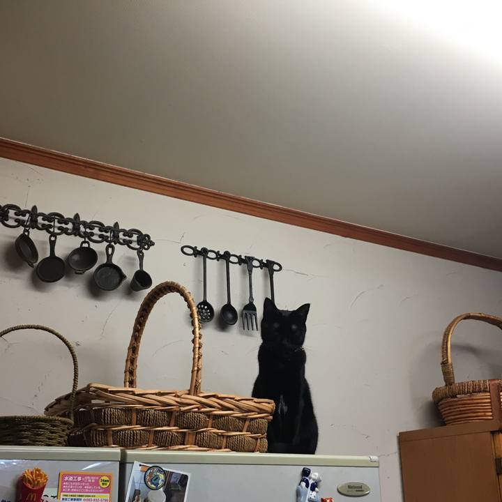 097dc60d 62d1 4adf 8b03 6798b6f91111