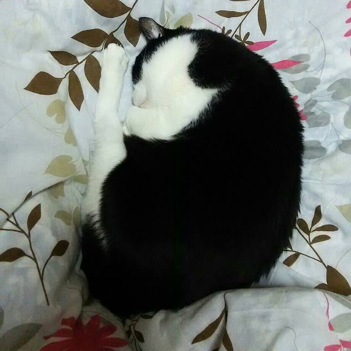 097e6354 5352 41aa 96c8 6f7896e89843