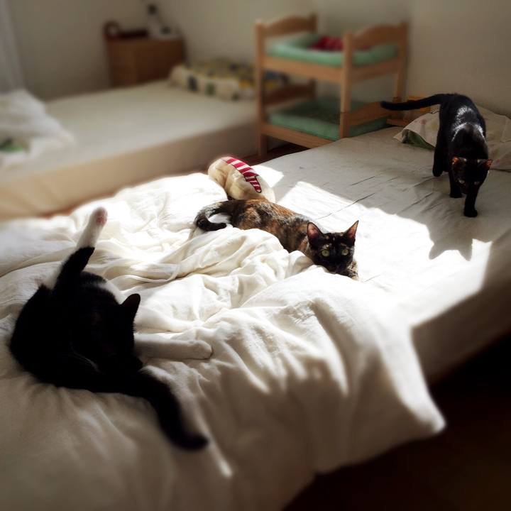 097edf16 60ed 4bec b976 c566740538e4