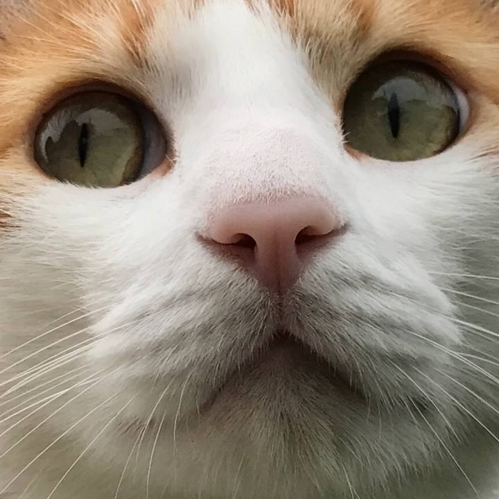 097f217b 0a9b 4e51 b186 23109b7980cf