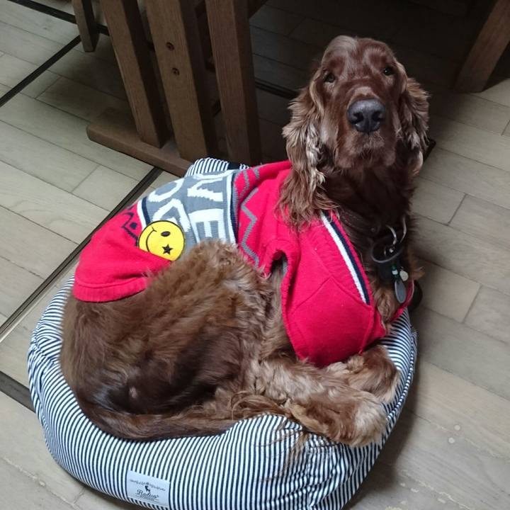 097f9de4 28ea 4f54 a5ca e24ce5fa13cf