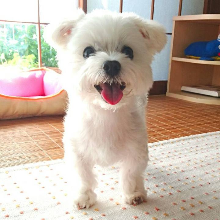 097fbfe1 4b9a 435c 9e40 0b9110ca00d4