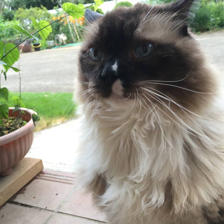 09802132 32fb 4d64 baae cad667a598d3