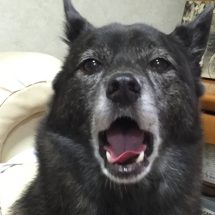 0980dbd8 f74a 496a ae7a 77130cf543de