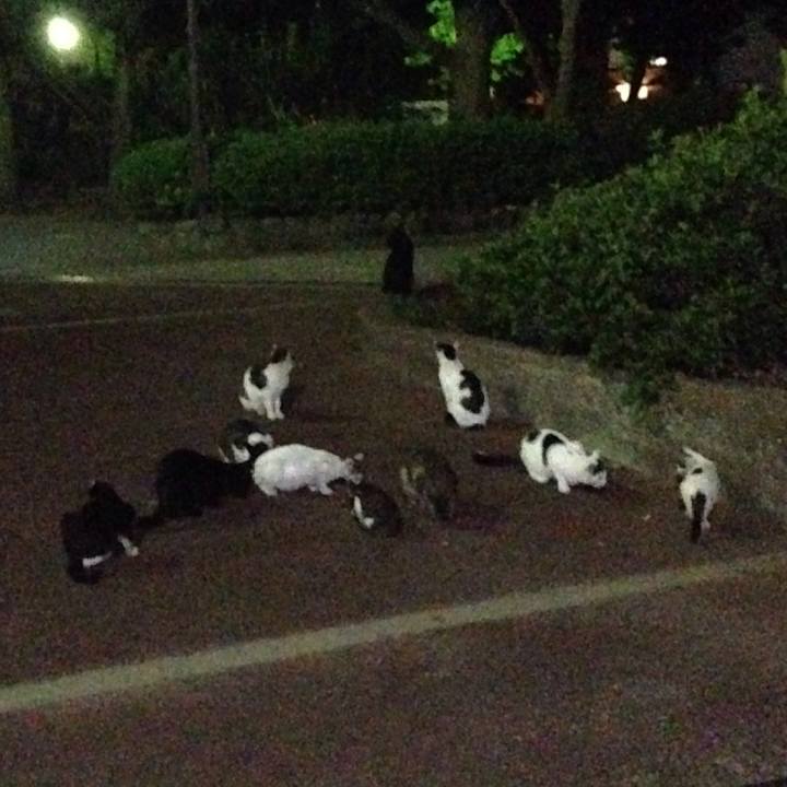 0981d735 b854 4be0 b14c 2f92690dfb46