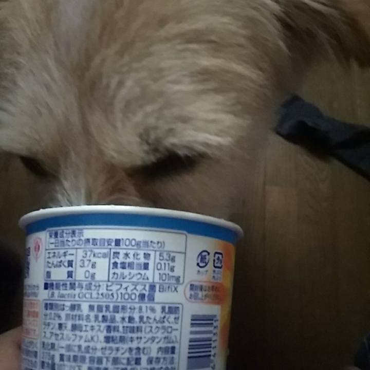 0982681f e7b7 4ddd 83ad c6ee5e879953