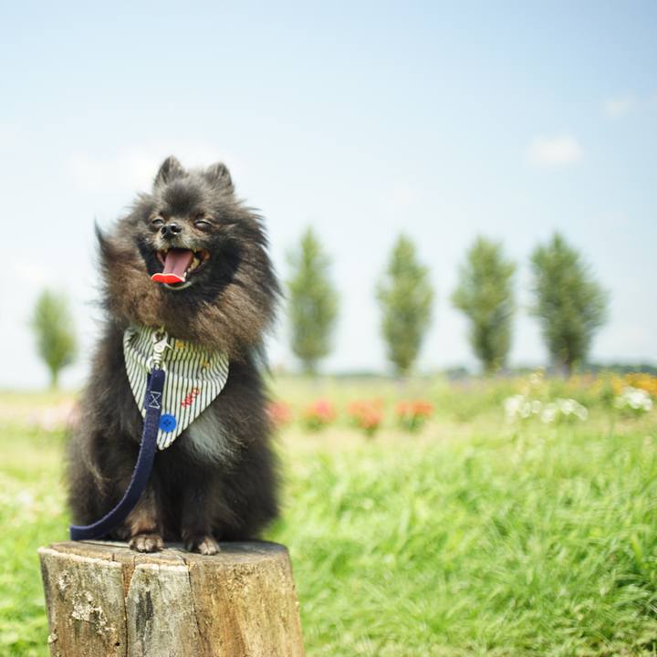 0982c9b1 67e1 4789 a2ce 6d6e85b1e023