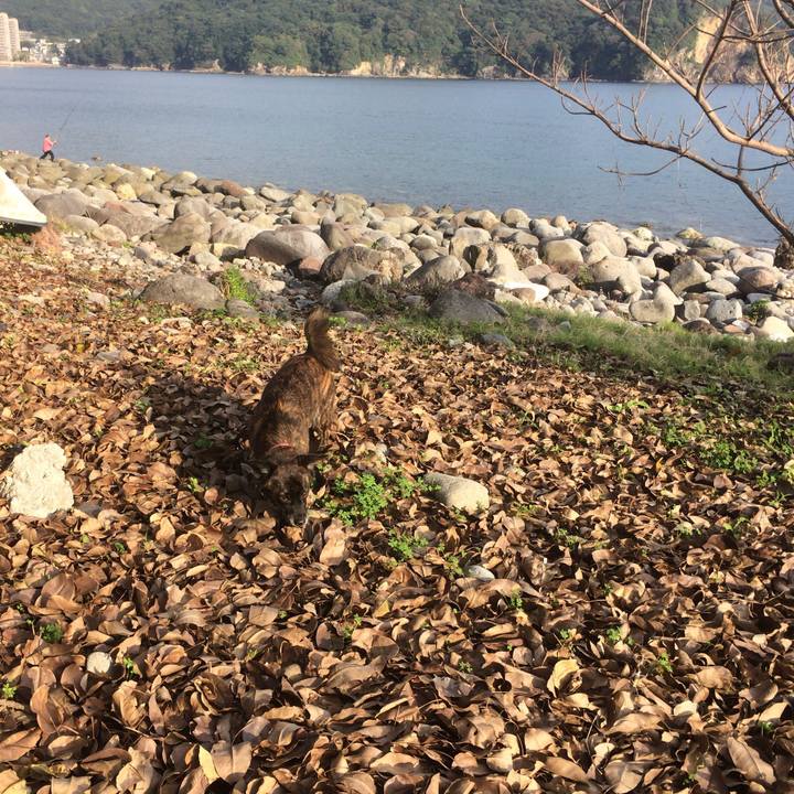 09831dcf 6544 4aa0 9936 111b3108ce03