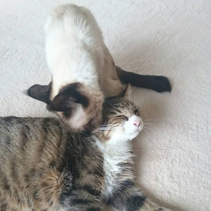 098322ed f8ac 4205 ae70 b70662ad6054