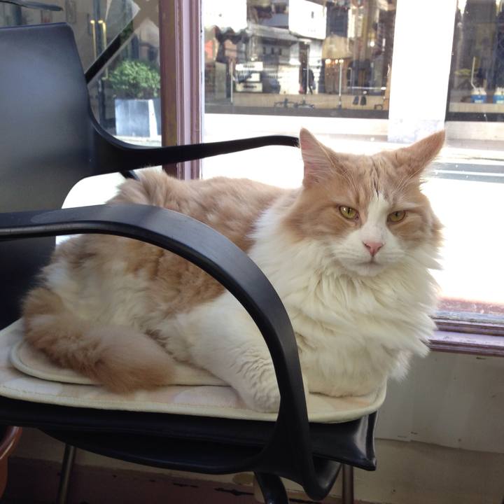 09834c89 048f 476e aa35 0bf00f5a30f6