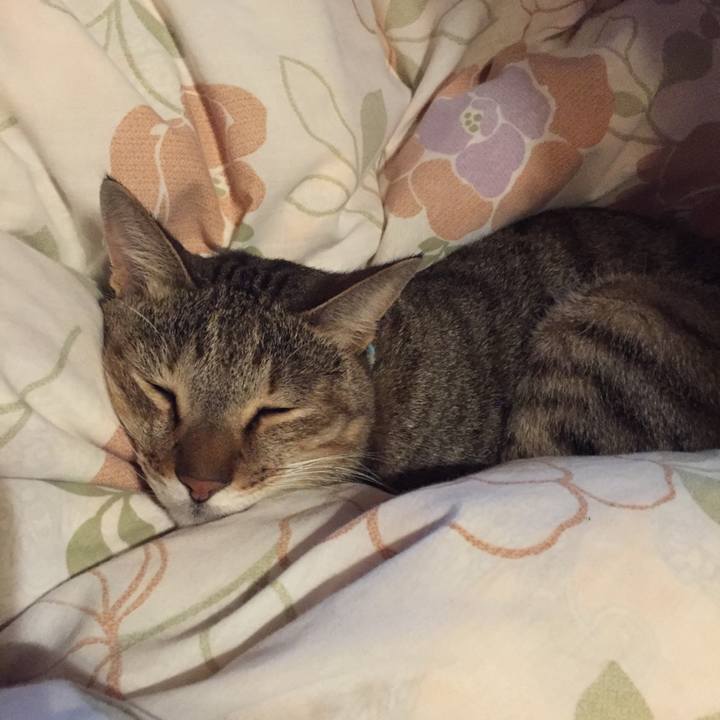 0983dd63 a397 412d a4de 9bfa68fde3a5