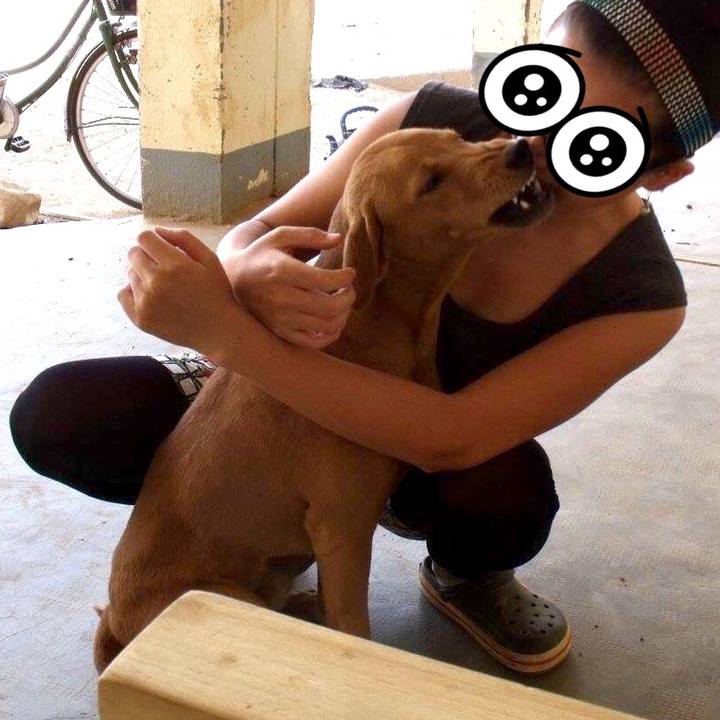 0984080a 596e 443e 87ee c00ee7a7dbc0