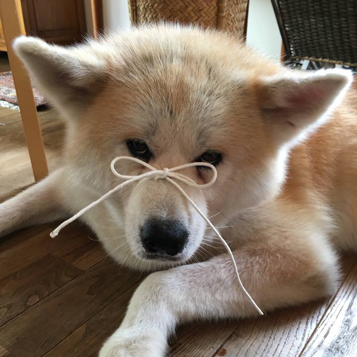 09842ddb e1d9 469c 8a90 f047fdea7f0b