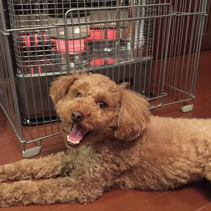 098462e1 64ae 410f b1ab fdc6b45361d6