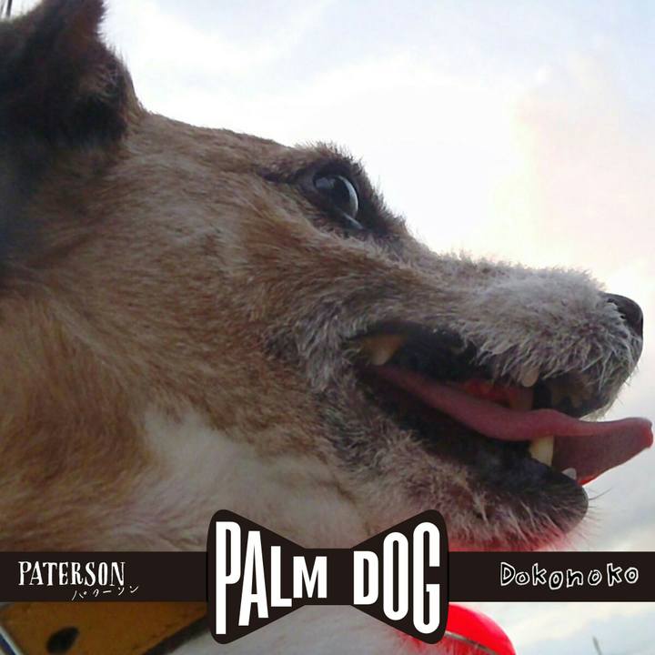 09858800 c2a9 4ef8 a3f2 bda64a7996f8