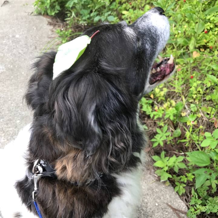 09863c44 0f9c 45b9 b073 ac63c119a802