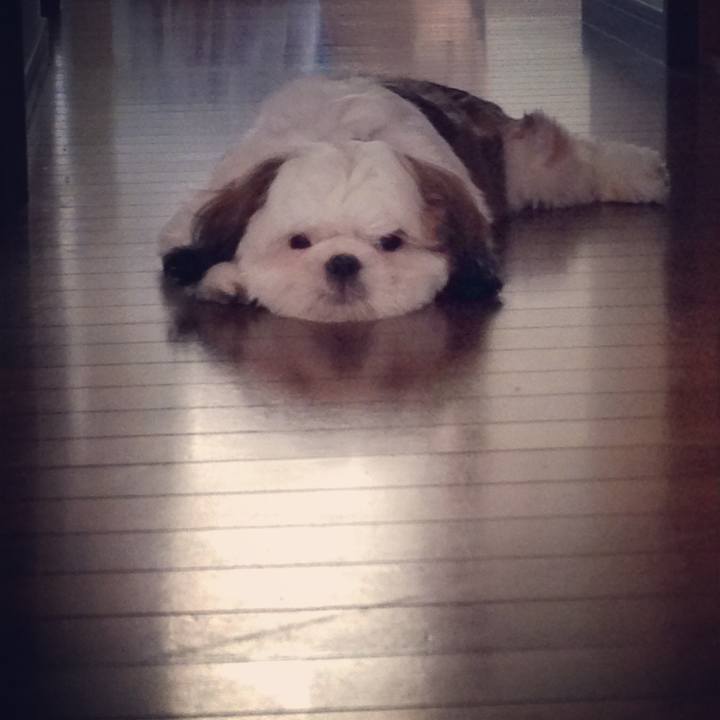 098793c8 60a2 48f3 ac5c 140b71518af7