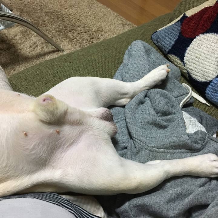 098930ed a8a7 4f42 a8c9 0476954fdab4